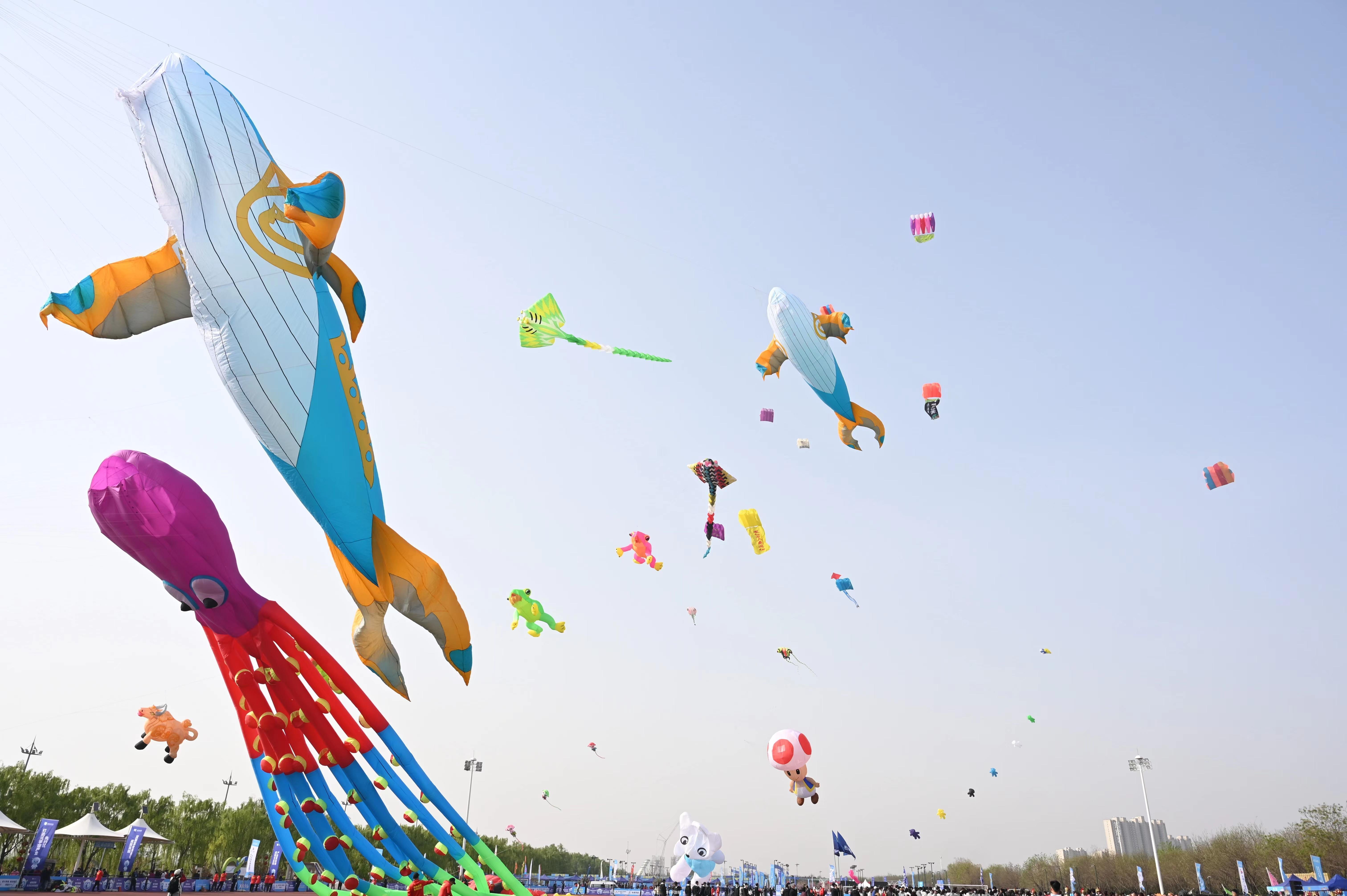 鹏羽天角风筝:翱翔天际的艺术——探索“鹏羽天角风筝”游戏攻略